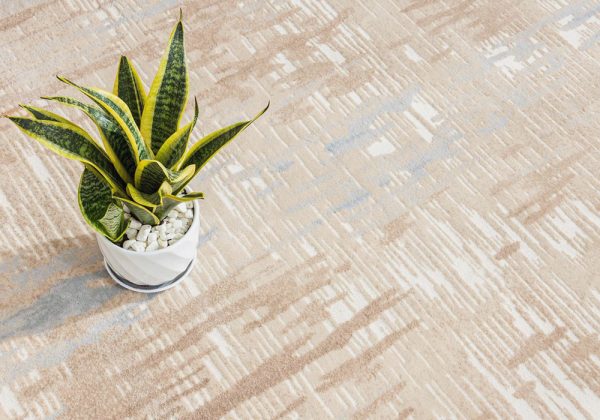 Tham trai san hy101 brown 8