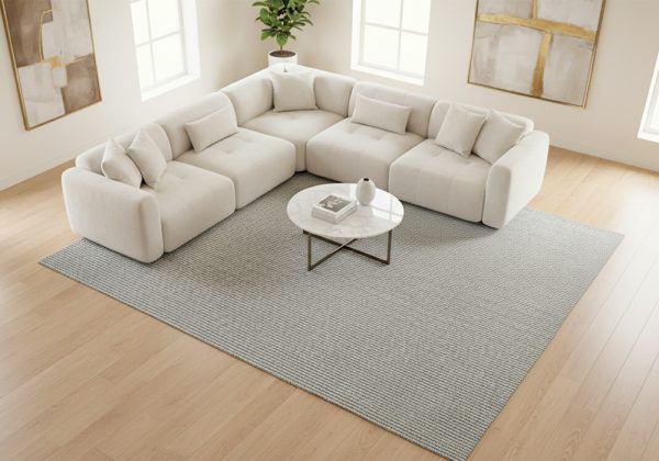 Thảm phòng khách VE01