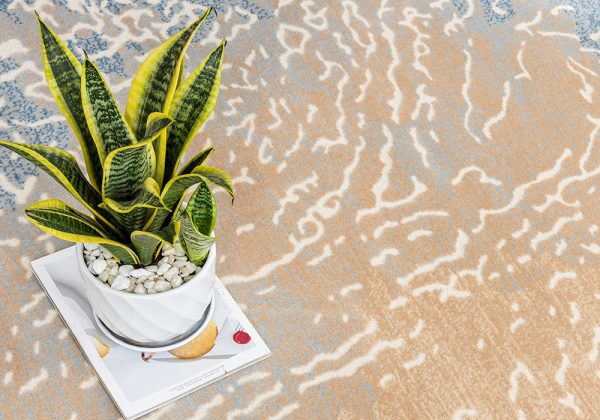 Tham trai san hy310 3