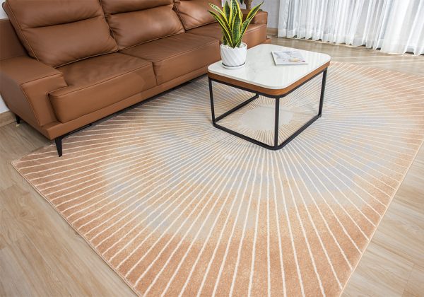 Thảm trải sàn phòng khách HY610