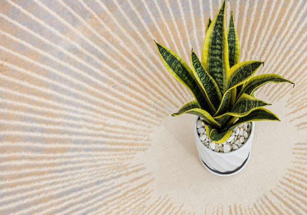 Thảm tròn HY610 Tham trai san hy610 4